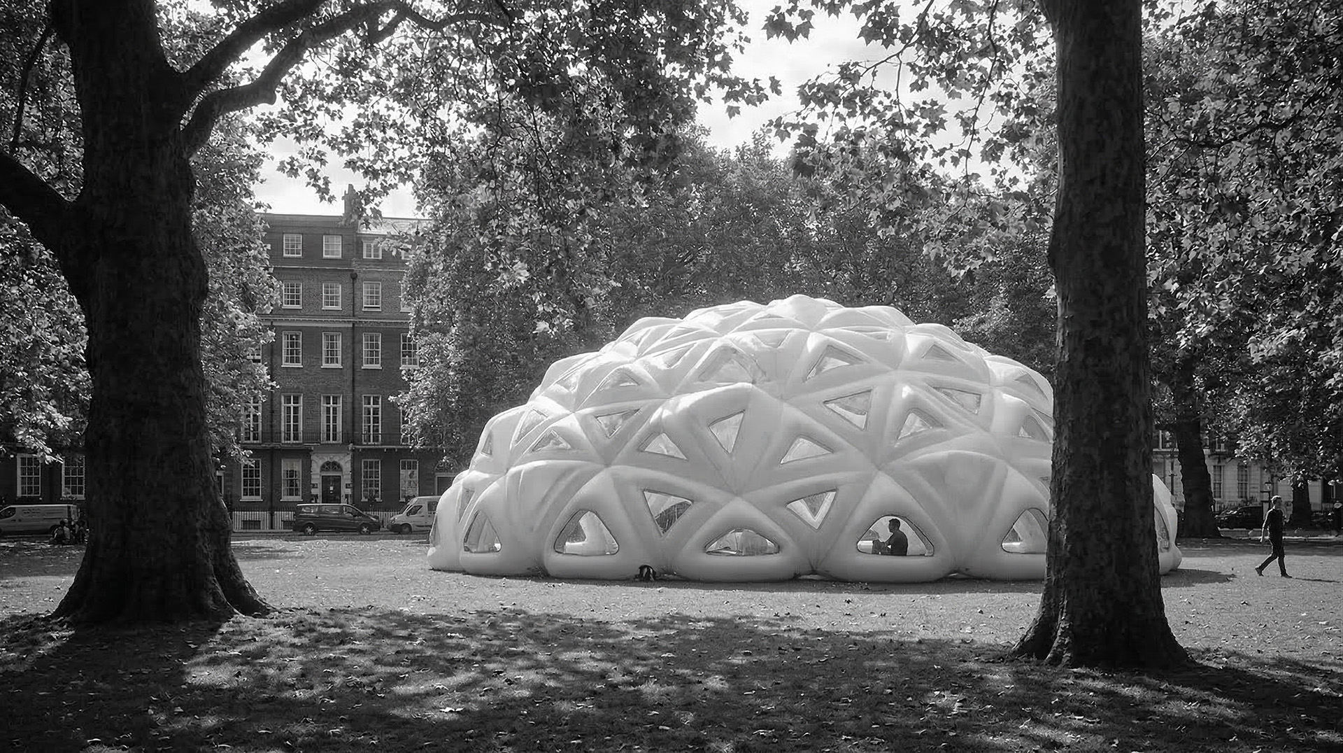 Inflatable Geodesic Dome